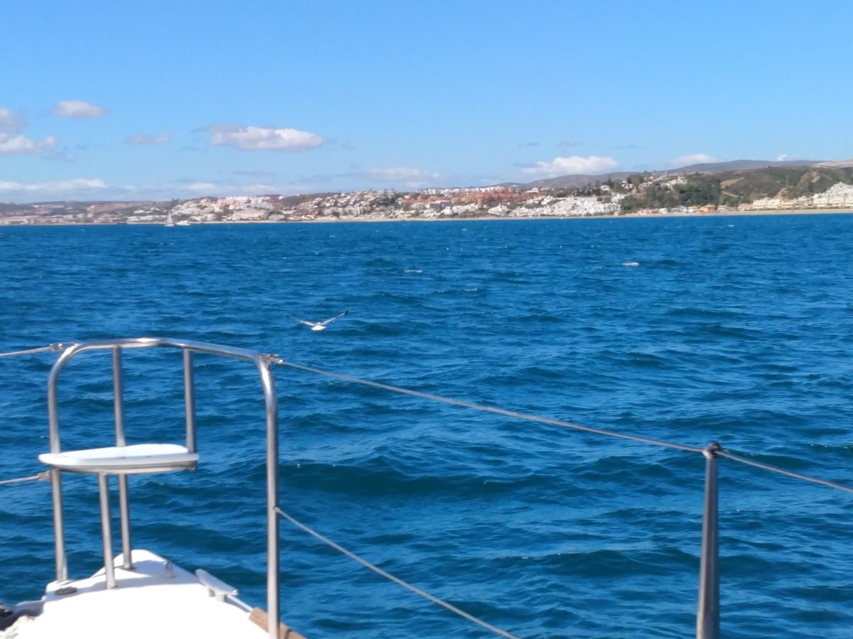 catamaranes estepona