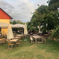 Pfifferlingschnitzel und beilagensalat