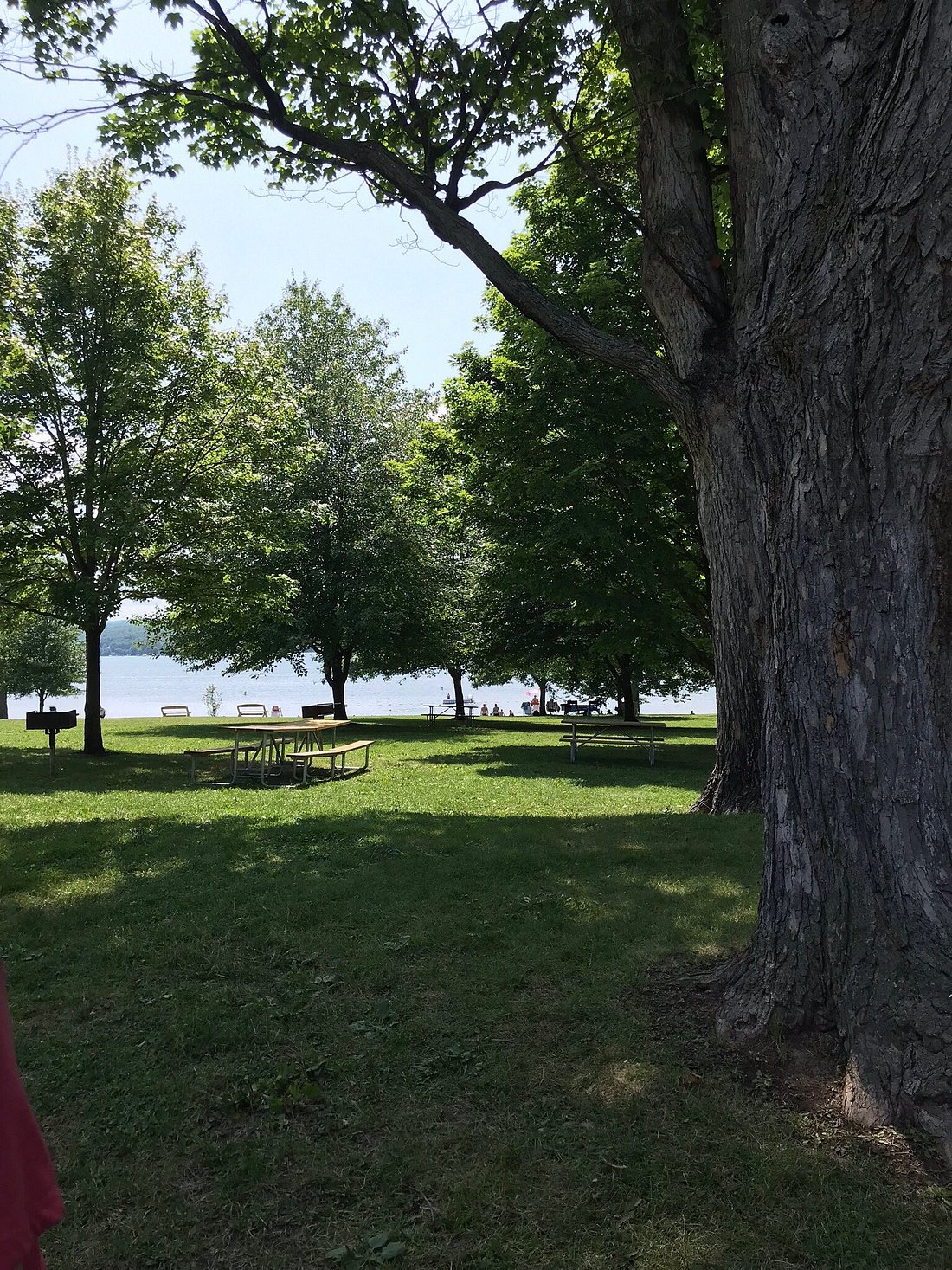 Keuka Lake State Park Campground - Reviews & Photos (Bluff Point, NY) -  Tripadvisor