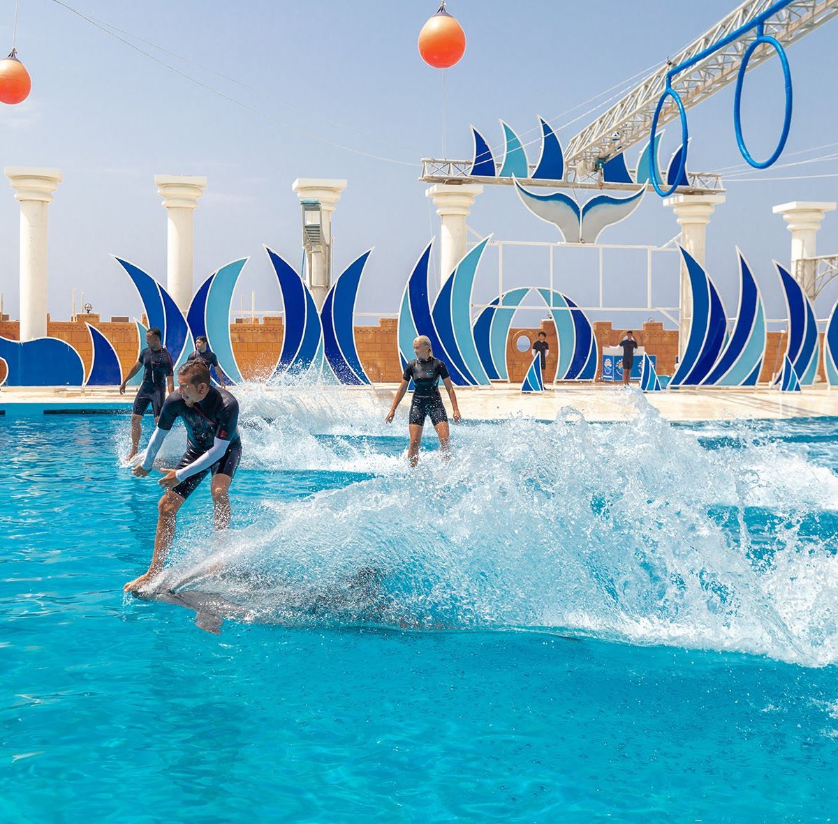 Sealanya Dolphinpark Seapark, Тюрклер: лучшие советы перед посещением -  Tripadvisor