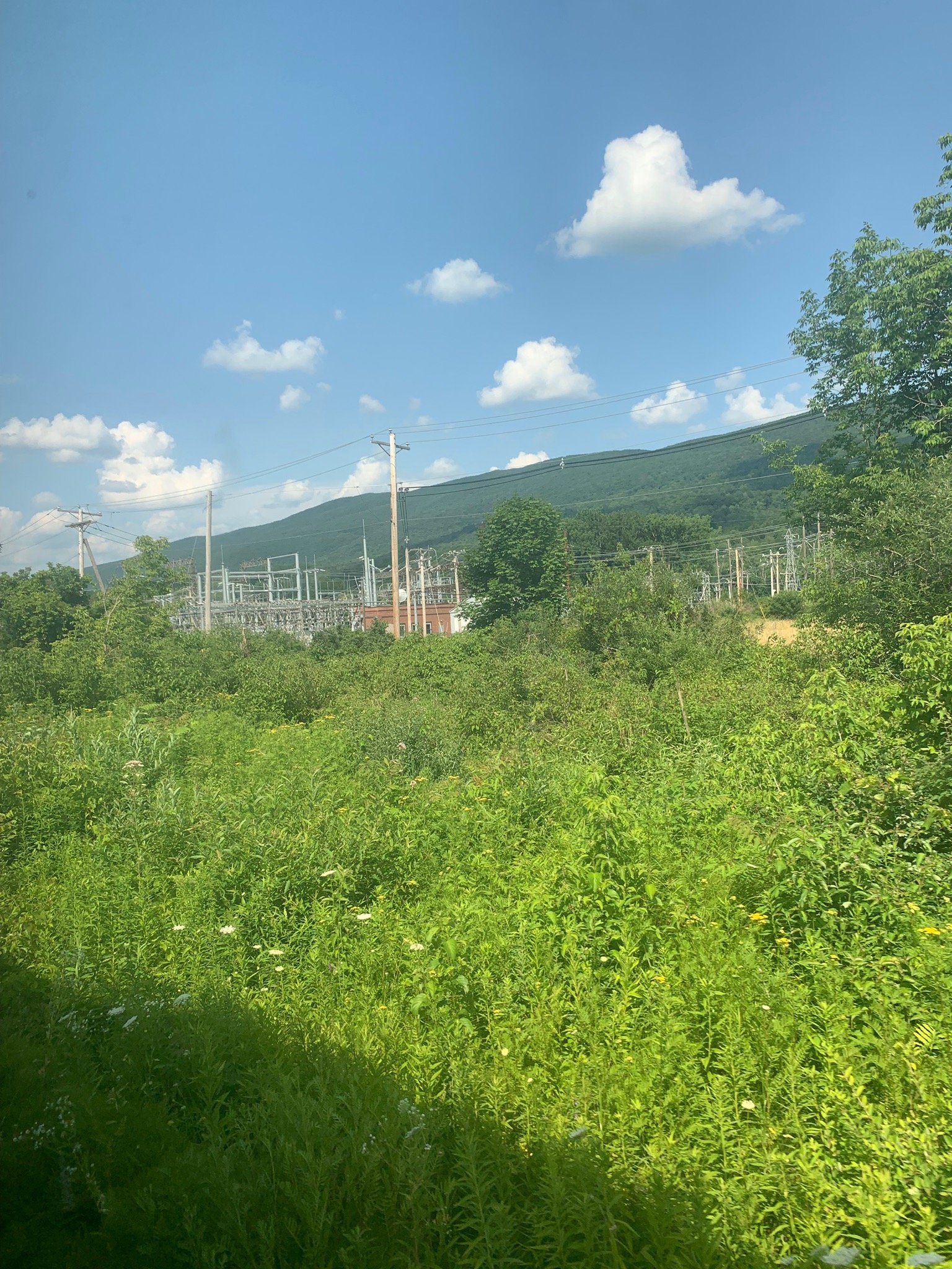 Hoosac Valley Train Ride (North Adams) - All You Need To Know BEFORE You Go