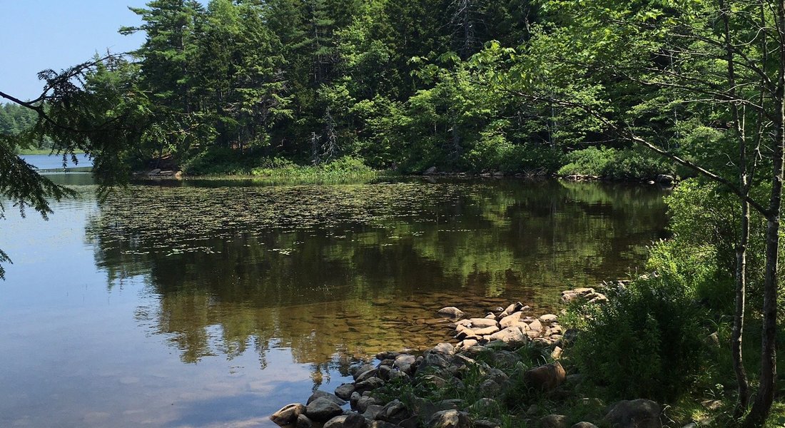 Sackville Lakes Provincial Park - Lower Sackville - Sackville Lakes Provincial Park의 리뷰 - 트립어드바이저