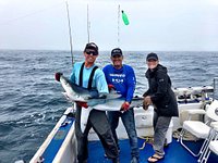 Thrilling Daytime Shark Fishing Adventure: Book Tours & Activities