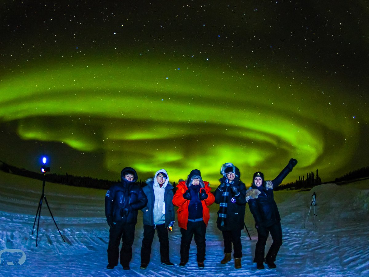 arctic tours canada reviews