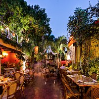 Dine under the stars, cena bajo las estrellas.