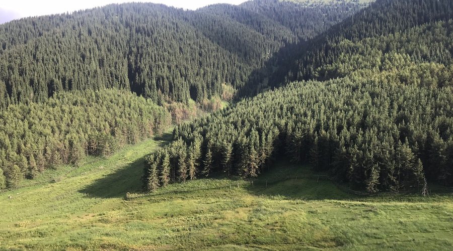 Located a meer 40km from Almaty the deer farm just outside of Kaskelen is a truly authentic Kazkh experience. From the trekking tent camp and yurt camp in the valley basin you follow a trail that winds it way through forests and meadow.