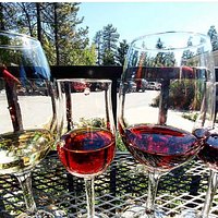 Wine Tasting