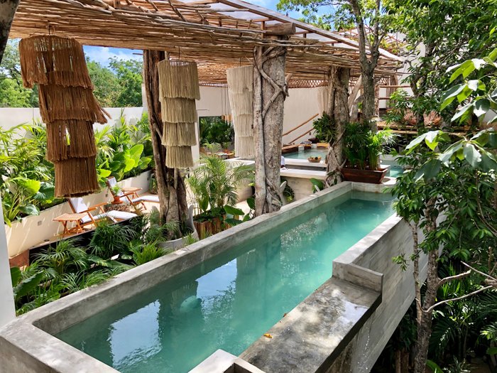 Imagen 2 de Orchid House Tulum