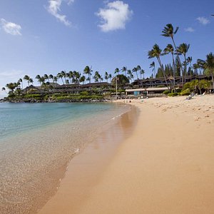 Napili Kai Beach Resort in Maui