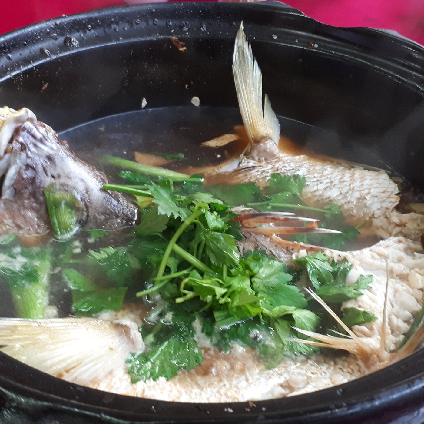 KALI LITTLE RESTAURANT, Klang - Restaurant Reviews, Photos & Phone Number - Tripadvisor