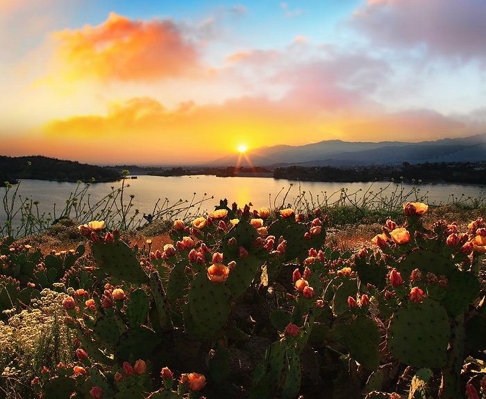 Top 10 Best Beautiful Views near San Dimas, CA - October 2023 - Yelp