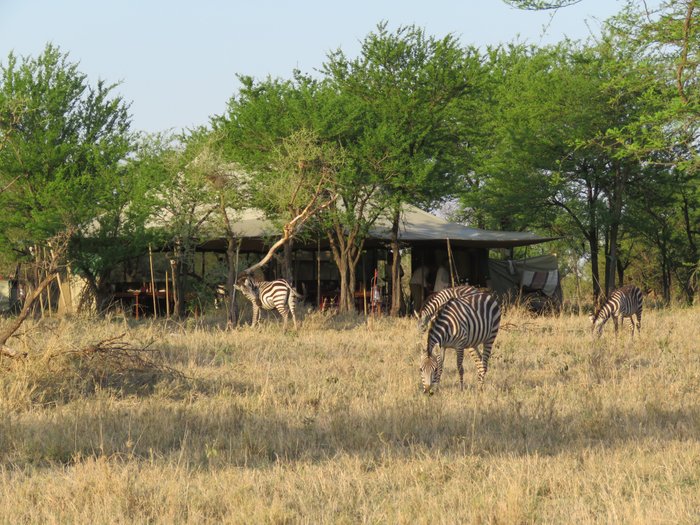 Wilderness Usawa Serengeti, the first luxury mobile camp in Tanzania