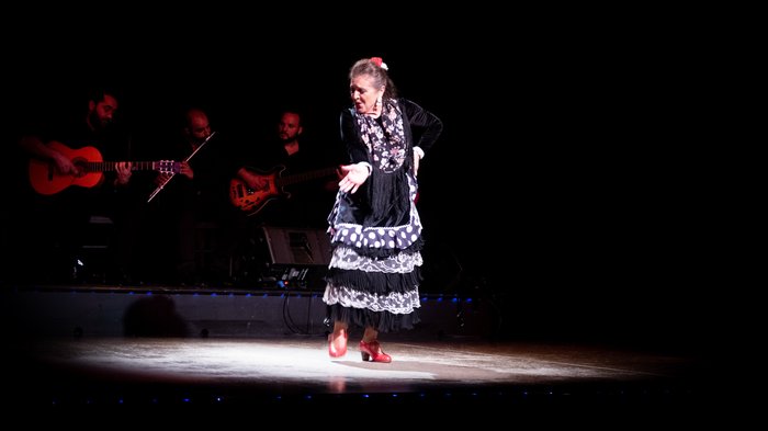 Imagen 8 de Palacio del Flamenco