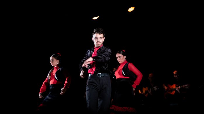 Imagen 7 de Palacio del Flamenco