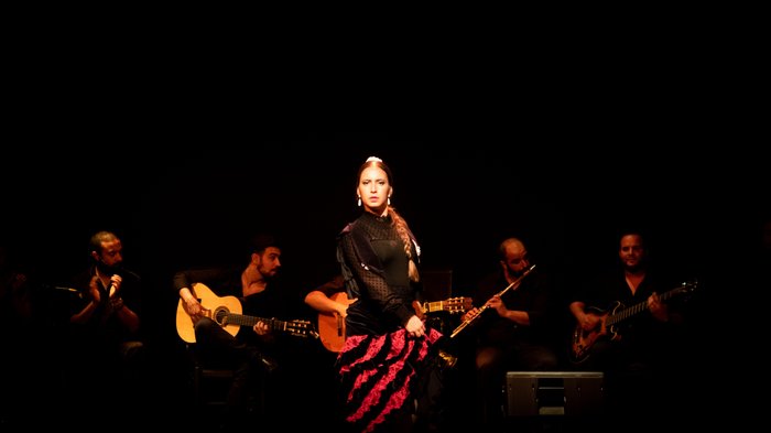 Imagen 4 de Palacio del Flamenco
