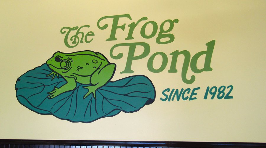 The Frog Pond Downtown St. Petersburg