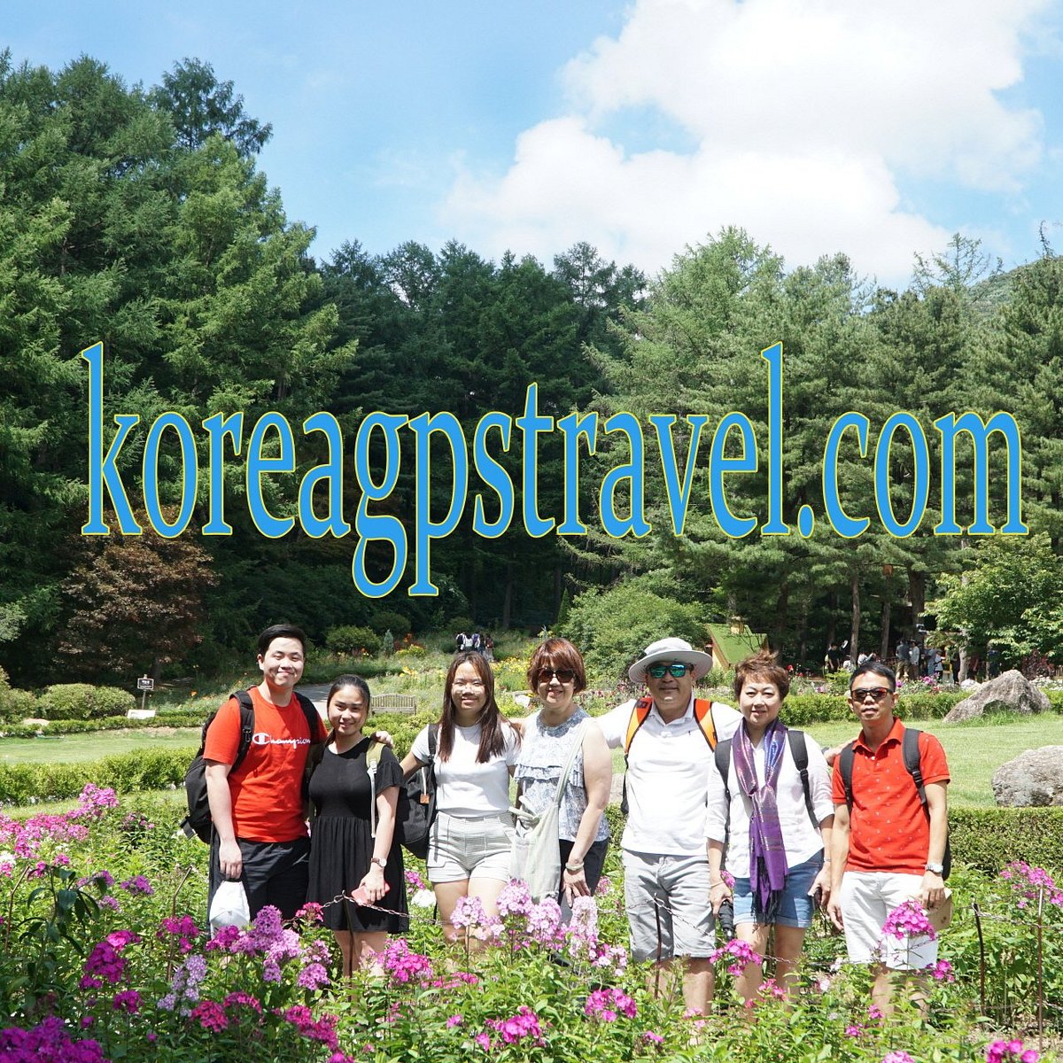 group tours to korea