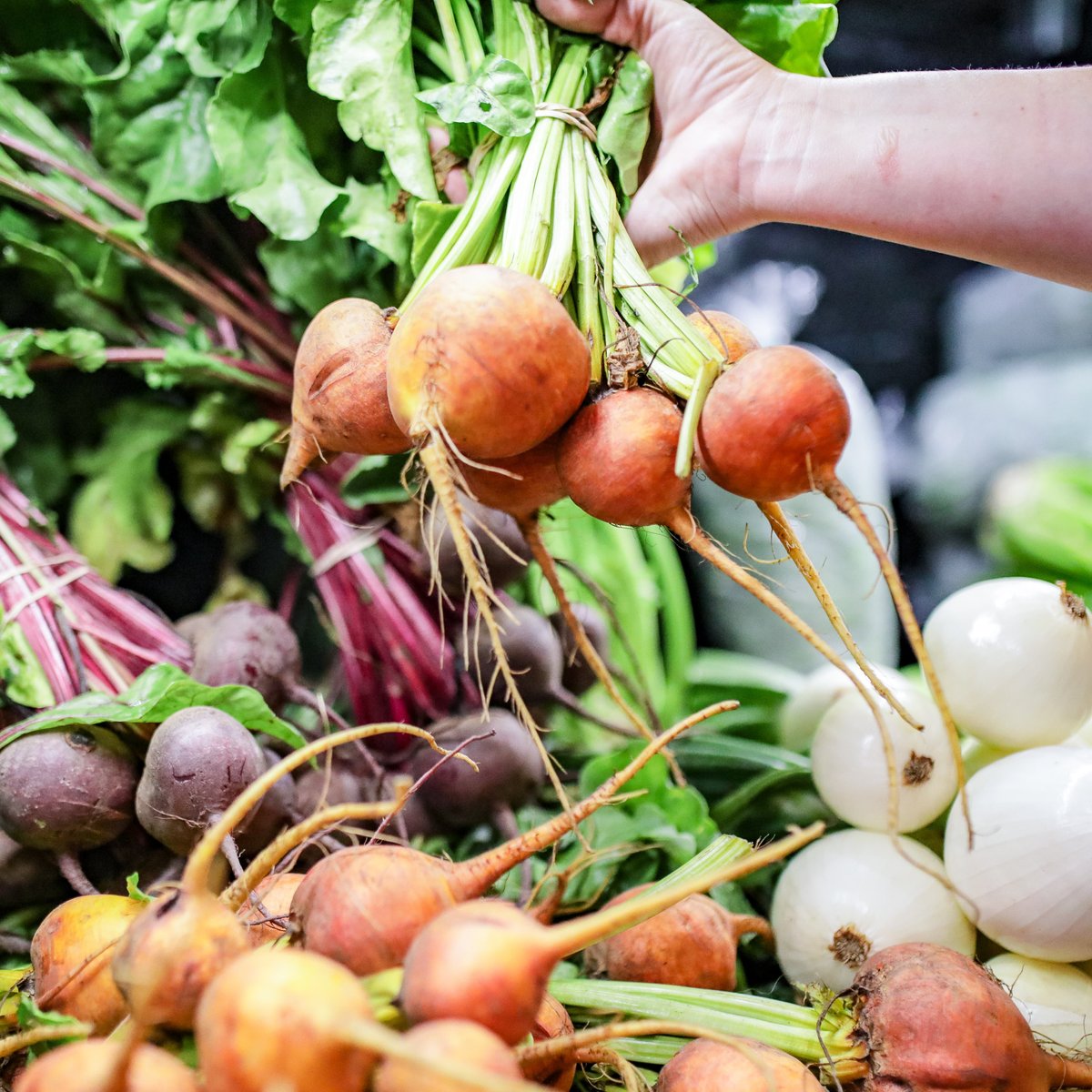 Calgary Farmers' Market South, Калгари: лучшие советы перед посещением ...