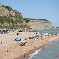 Ecclesbourne Glen is the dark green V in the middle of the cliffs (beach is Rock-a-Nore)