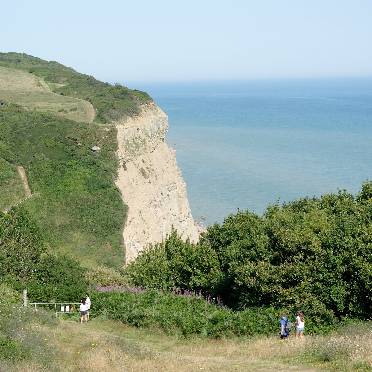 ECCLESBOURNE GLEN (Hastings) - All You Need to Know BEFORE You Go