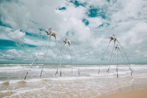 수영장 및 해변