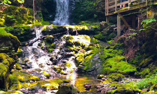 Such a beautiful park!
