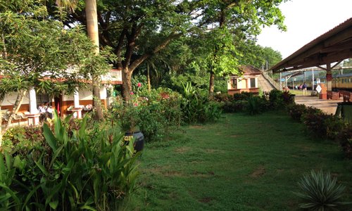 long view of the garden and the surrounding greenery and the ramp that crosses to platform 2