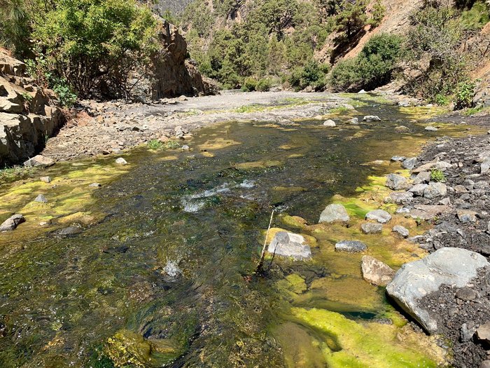 Imagen 4 de Cascada de los Colores, Barranco de las Angustias