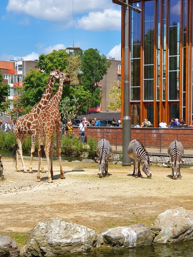 ARTIS Amsterdam Royal Zoo