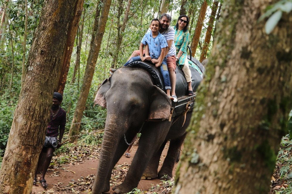 Carmelagiri Elephant Park (munnar) - All You Need To Know Before You Go