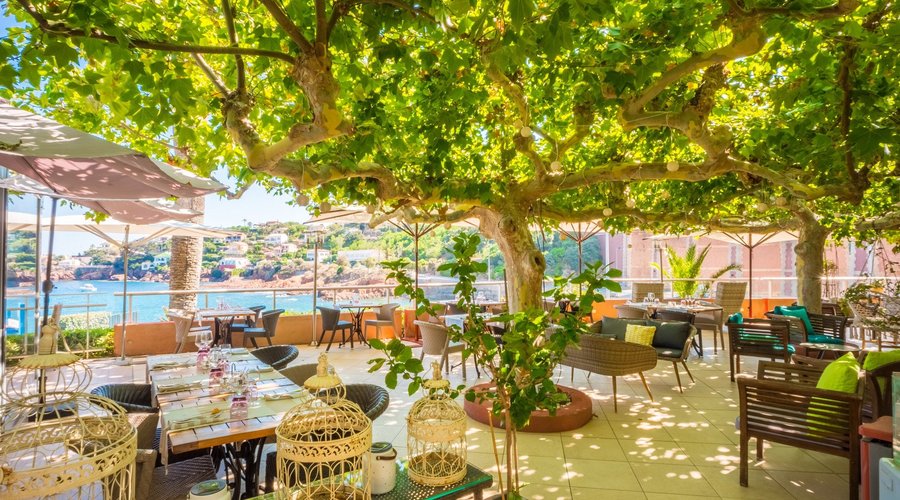 Restaurant avec terrasse sous les platanes vue mer