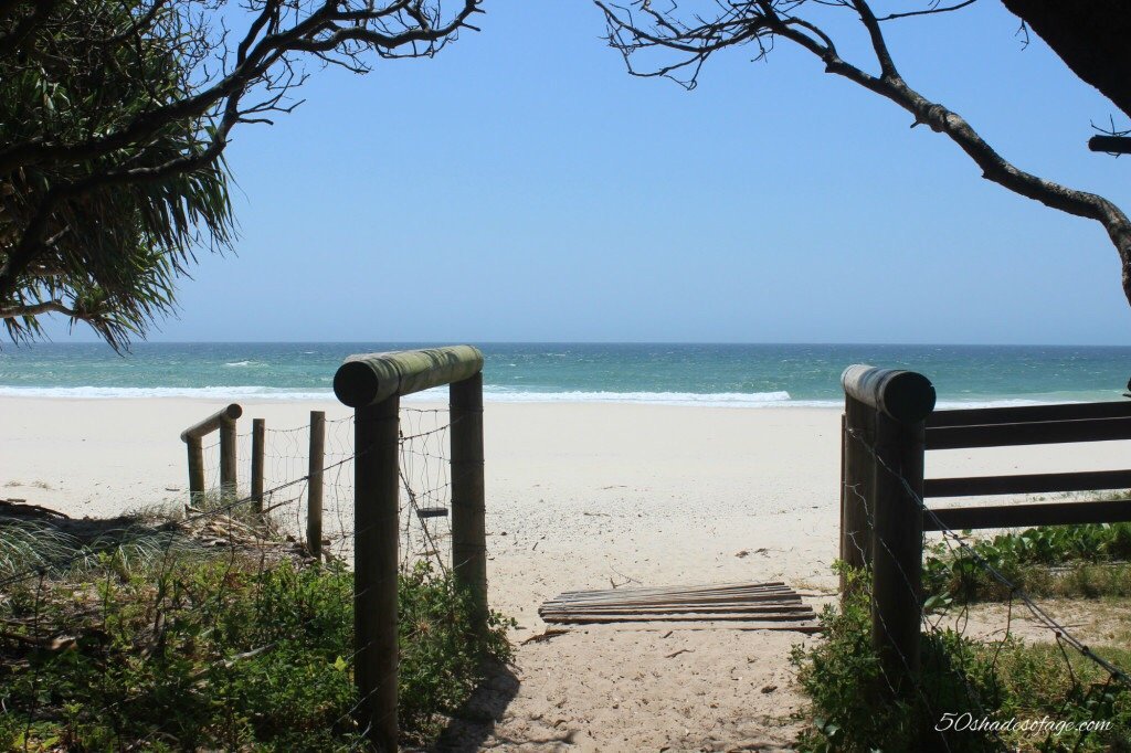 2023年 Pottsville Beach - 行く前に！見どころをチェック - トリップ