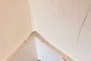 Room & Suite