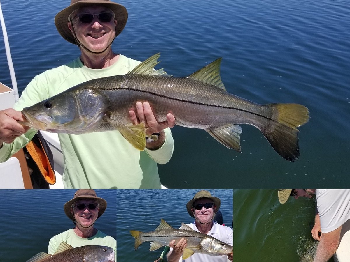 Tampa Flats and Bay Fishing Charters - All You Need to Know BEFORE You Go