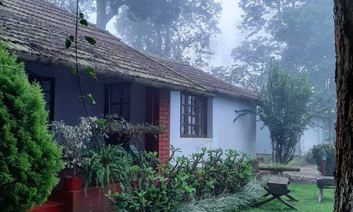 Mangorange in the clouds....a beautiful colonial bungalow set amidst rolling valleys of tea plantations with the mountain ranges in the distance. It's a place where one can be with nature. A perfect place for slow travel and getting lost in the beauty of nature. Good food, books and long walks can give one company apart from the countless birds that make it a bird watcher's paradise.