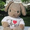 TripRabbit