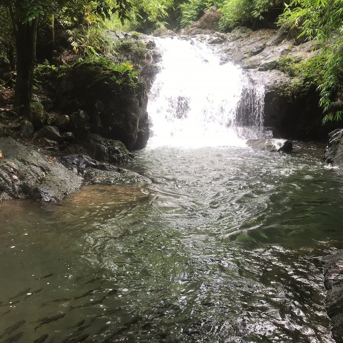 khlong kaeo Waterfall National Park (2025) - All You Need to Know BEFORE You Go (with Reviews)