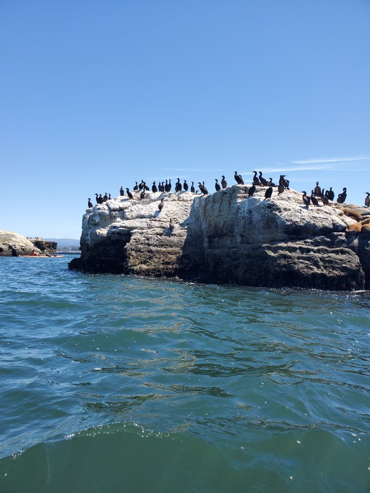 Venture Quest Day Kayaking All You Need to Know BEFORE You Go