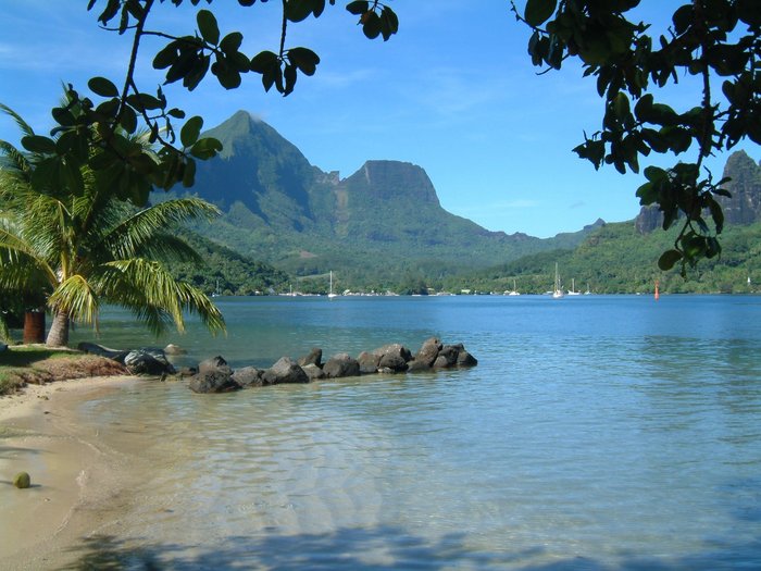 BEACH HOUSE MOOREA - B&B Reviews (Paopao, French Polynesia)