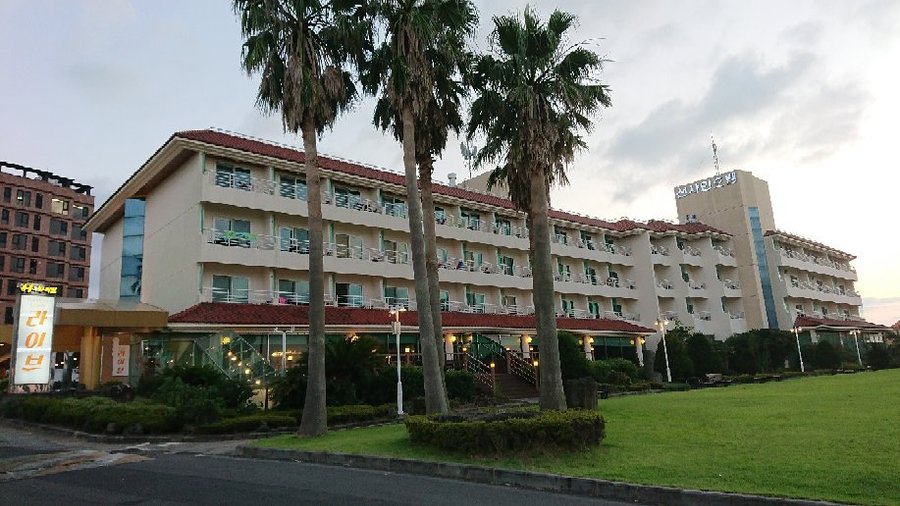 제주 선샤인 호텔 (Jeju Sunshine Hotel) - 호텔 리뷰