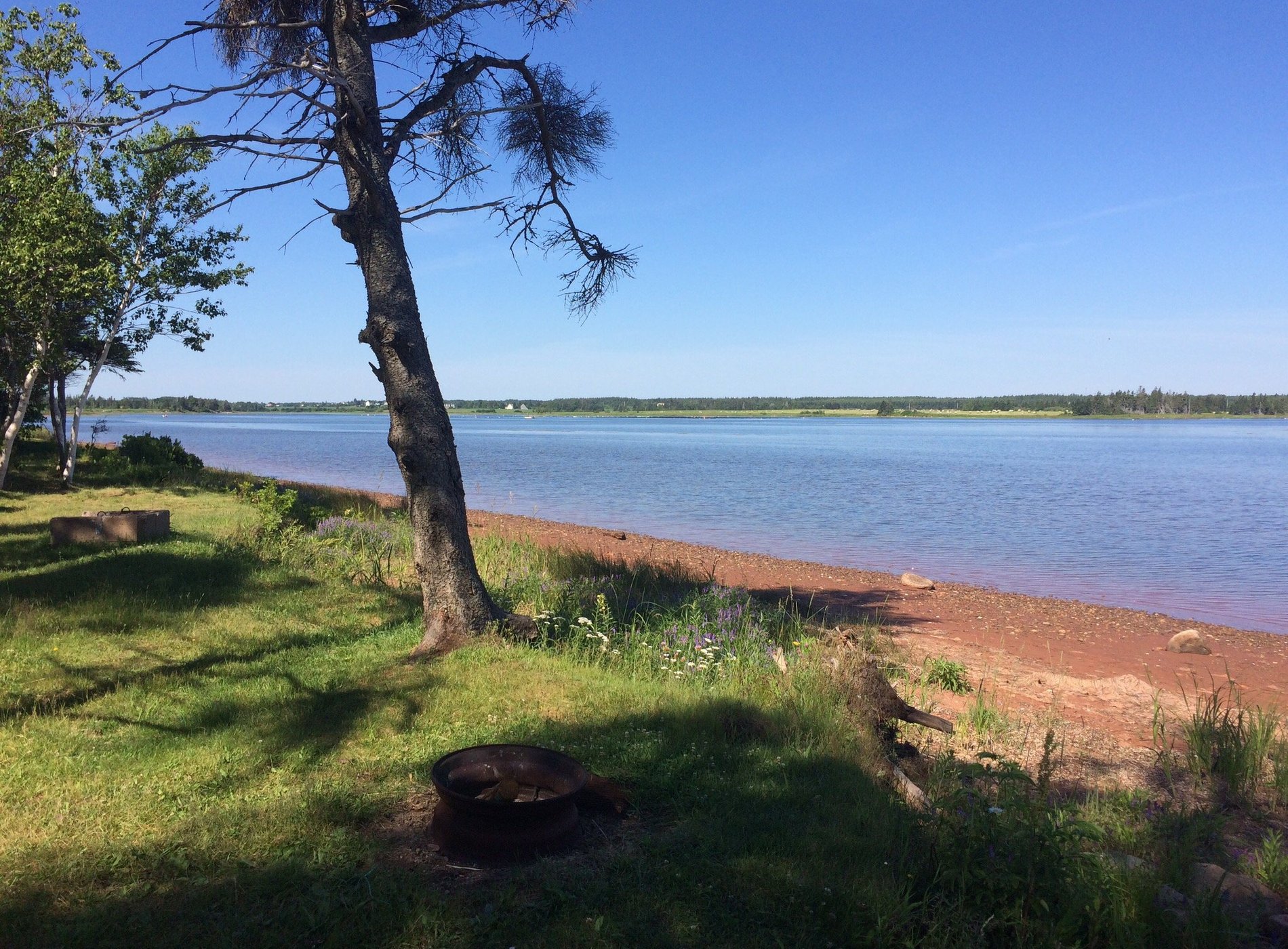 Green Park Campground by null