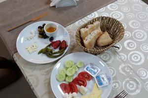 Seyahat Eden