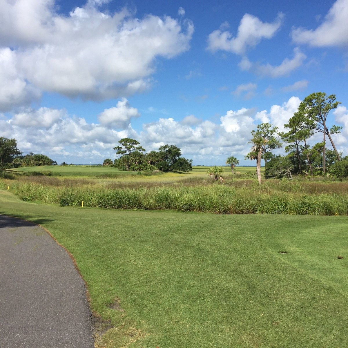 Ocean Creek Golf Course (Fripp Island, Carolina Selatan) Review