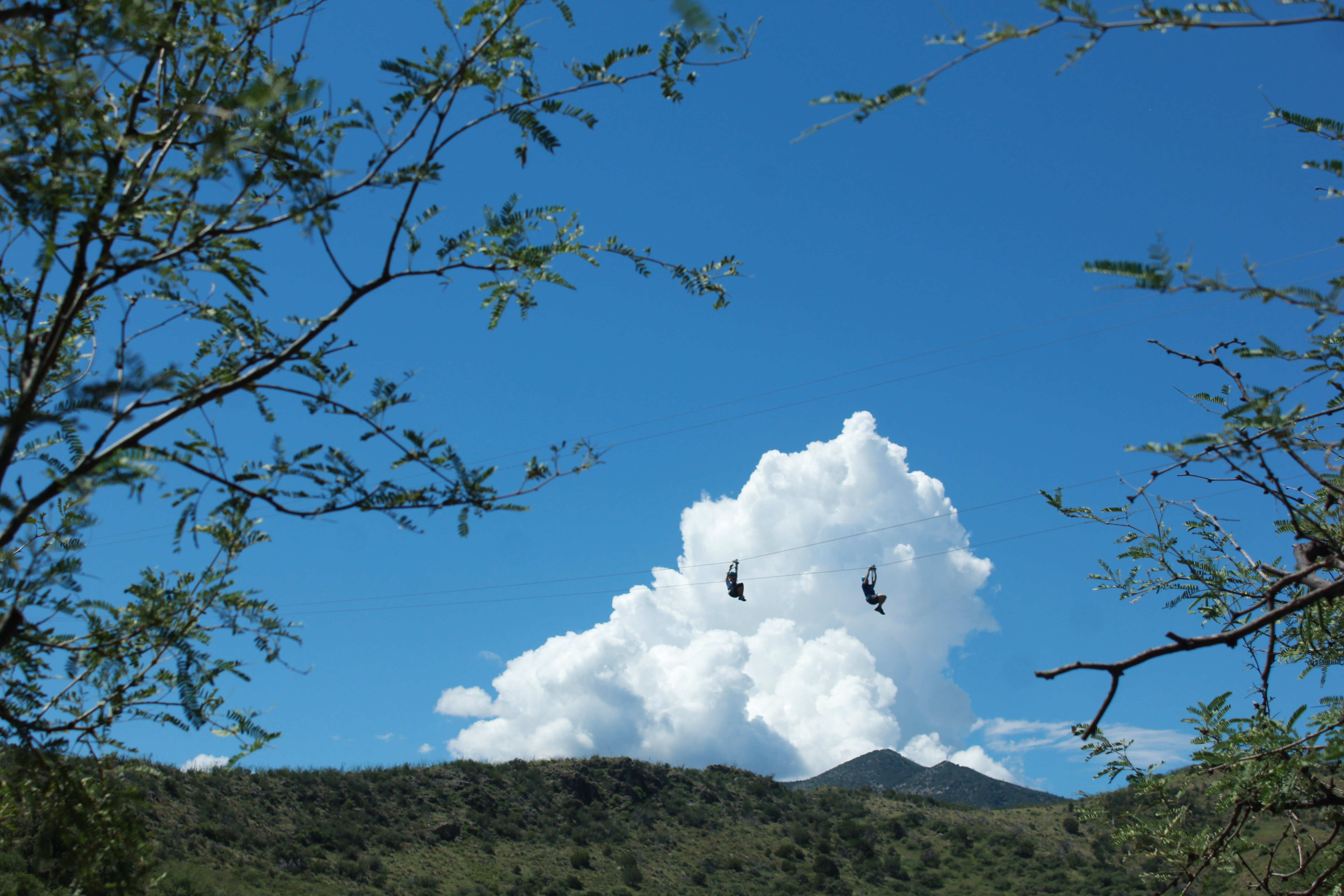 Arizona Zipline Adventures All You Need To Know BEFORE You Go 2024   Experience The Sonoran 