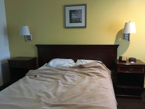 Room & Suite