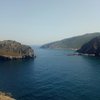 virgi