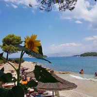 Ohana Beach Bar