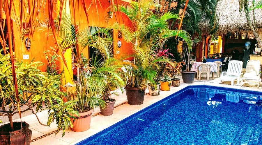Pool and surrounding area