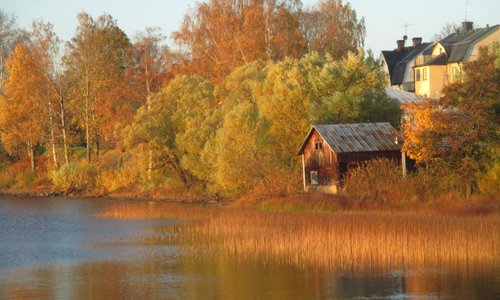 Ockelbo during fall