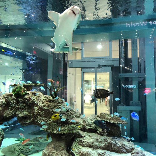 10 Shopping Malls In Okinawa Prefecture That You Shouldn T Miss